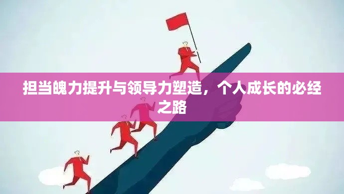 量入为出