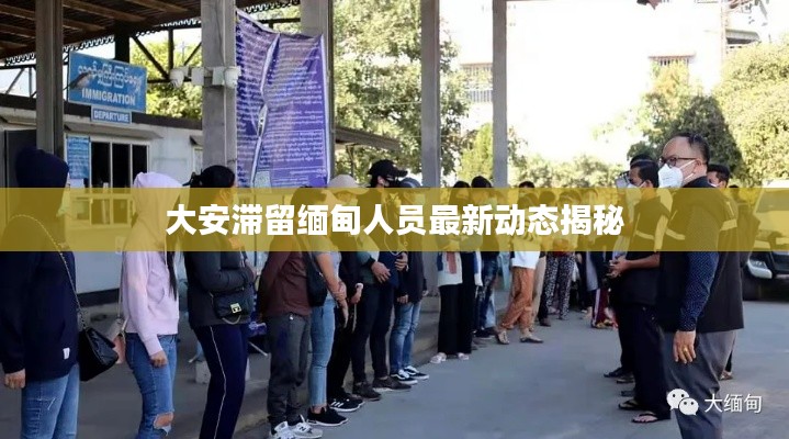 大安滞留缅甸人员最新动态揭秘
