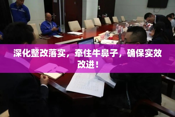 深化整改落实，牵住牛鼻子，确保实效改进！