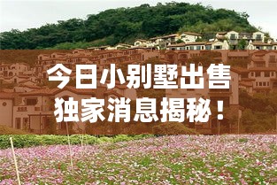 今日小别墅出售独家消息揭秘！
