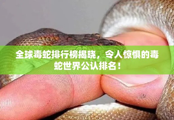 降贵纡尊