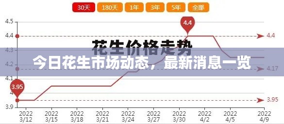 今日花生市场动态，最新消息一览