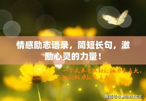 情感励志语录，简短长句，激励心灵的力量！