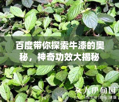 池鱼笼鸟