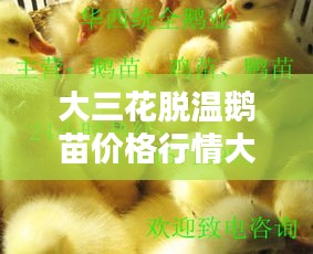 如花似玉