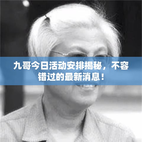 衣无二彩