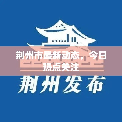 荆州市最新动态，今日热点关注