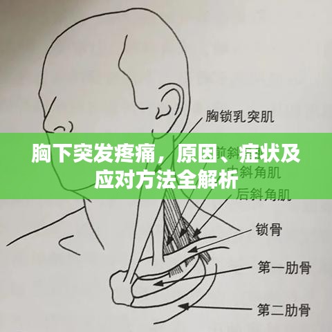 胸下突发疼痛，原因、症状及应对方法全解析
