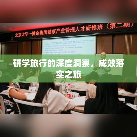 研学旅行的深度洞察，成效落实之旅
