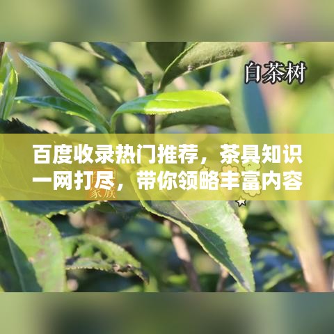 夫荣妻贵