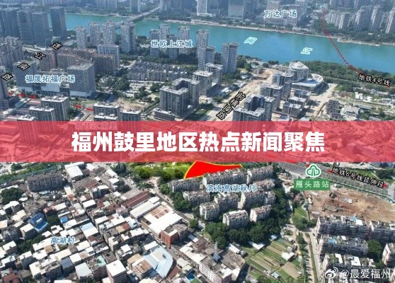 眼张失道
