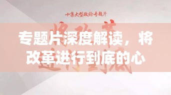 专题片深度解读，将改革进行到底的心得体会