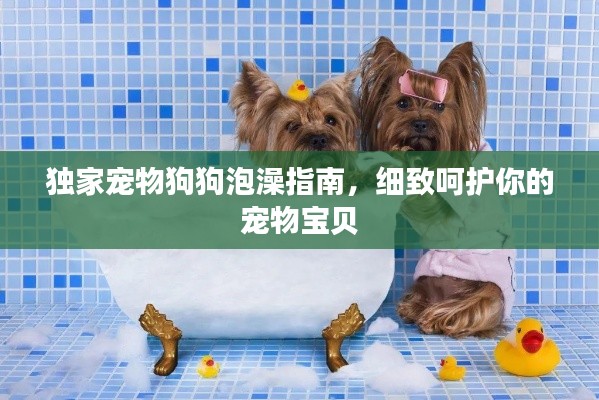 独家宠物狗狗泡澡指南，细致呵护你的宠物宝贝