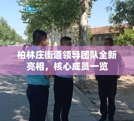 柏林庄街道领导团队全新亮相，核心成员一览