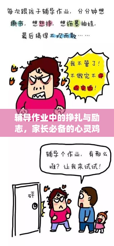 辅导作业中的挣扎与励志，家长必备的心灵鸡汤