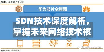 毛手毛脚