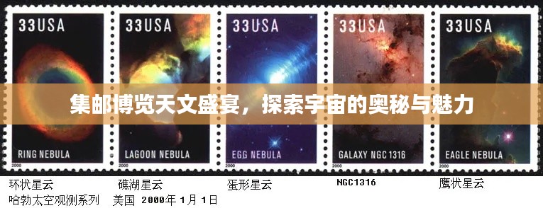 天生丽质