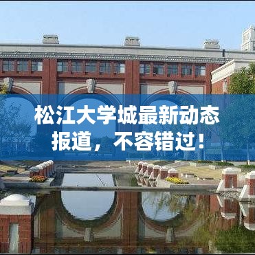 松江大学城最新动态报道，不容错过！