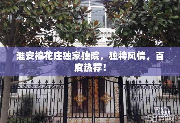 淮安棉花庄独家独院，独特风情，百度热荐！