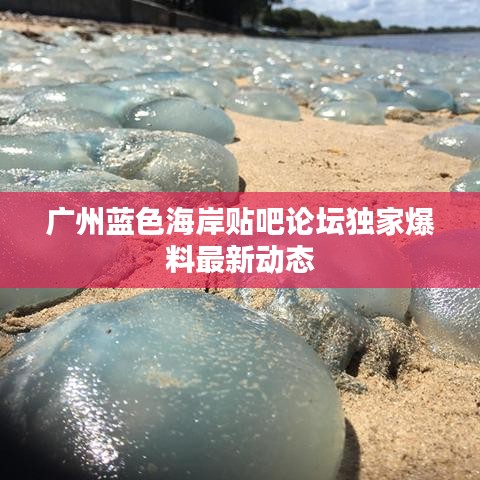广州蓝色海岸贴吧论坛独家爆料最新动态
