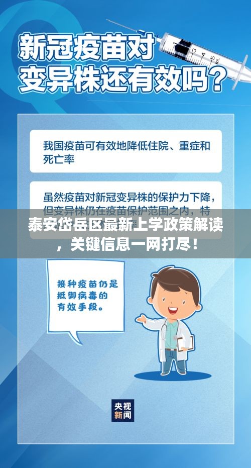 泰安岱岳区最新上学政策解读，关键信息一网打尽！