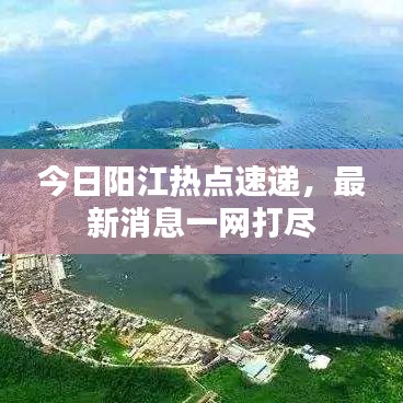 今日阳江热点速递，最新消息一网打尽