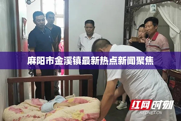 麻阳市金溪镇最新热点新闻聚焦