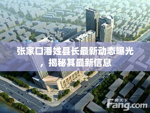 张家口潘姓县长最新动态曝光，揭秘其最新信息
