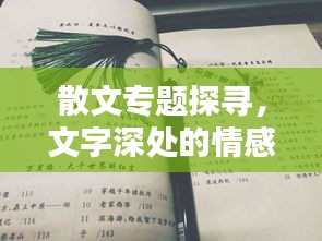 散文专题探寻，文字深处的情感与艺术韵味