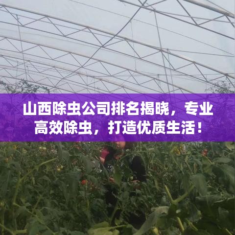 山西除虫公司排名揭晓，专业高效除虫，打造优质生活！