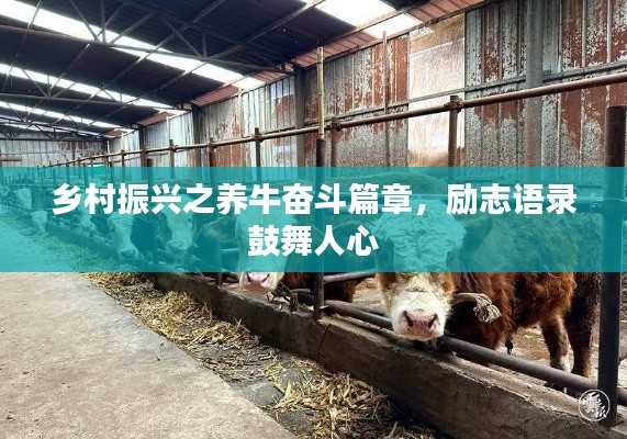 乡村振兴之养牛奋斗篇章，励志语录鼓舞人心