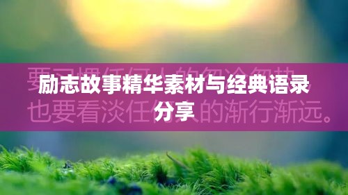 励志故事精华素材与经典语录分享