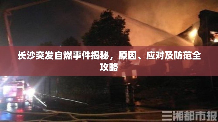 富贵浮云