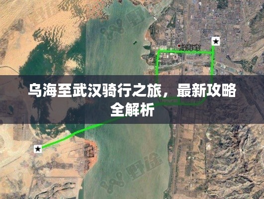 雍容典雅
