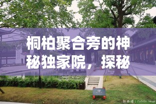 桐柏聚合旁的神秘独家院，探秘独家风景与历史韵味