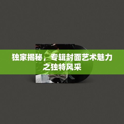 独家揭秘，专辑封面艺术魅力之独特风采