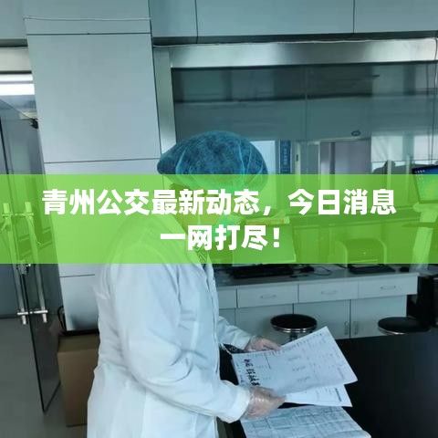 联系我们 第6页