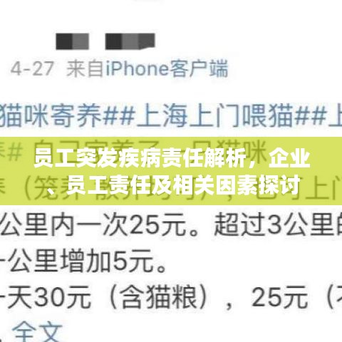员工突发疾病责任解析，企业、员工责任及相关因素探讨