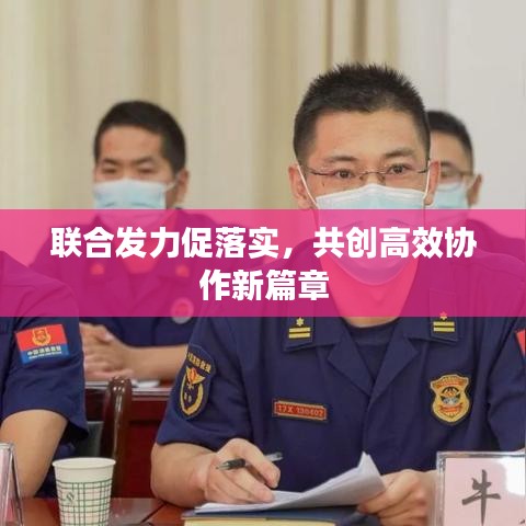联合发力促落实，共创高效协作新篇章