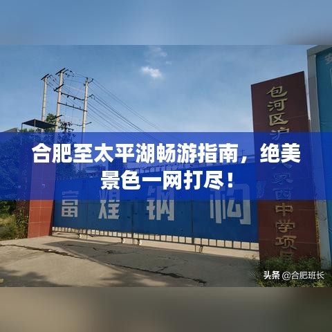 鸟之将死