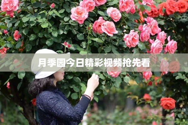 定谋贵决