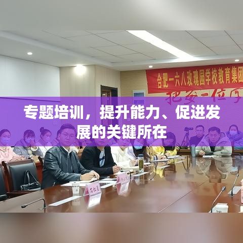专题培训，提升能力、促进发展的关键所在