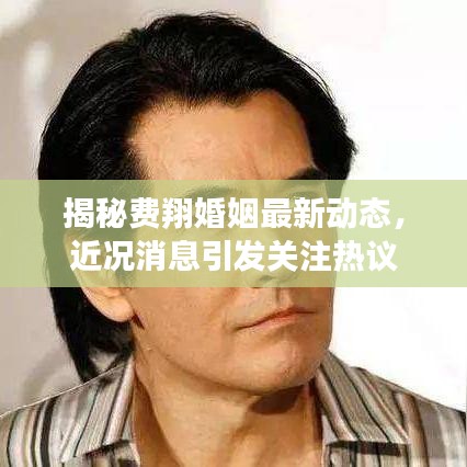 揭秘费翔婚姻最新动态，近况消息引发关注热议