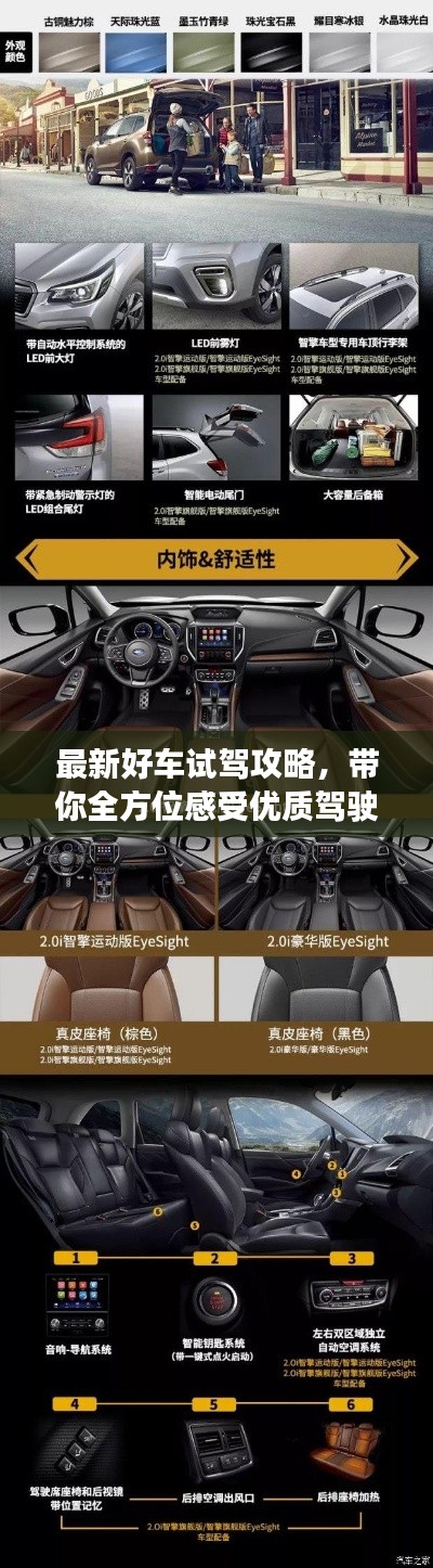 绝无仅有