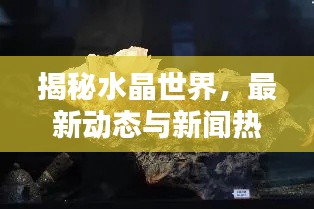 揭秘水晶世界，最新动态与新闻热点速递