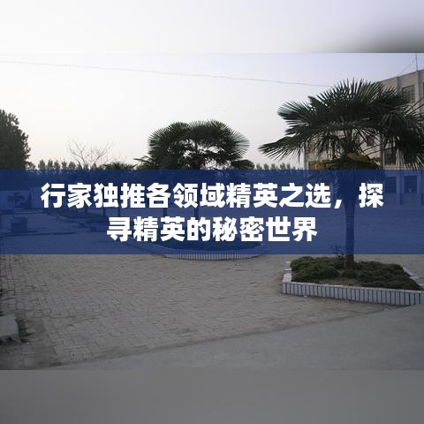 慎重其事