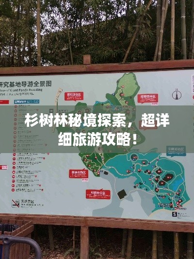 2025年6月3日 第2页