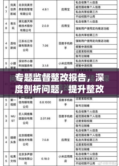 专题监督整改报告，深度剖析问题，提升整改实效