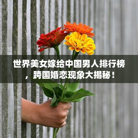 2025年6月12日 第3页