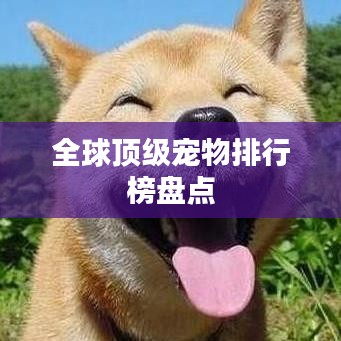 全球顶级宠物排行榜盘点